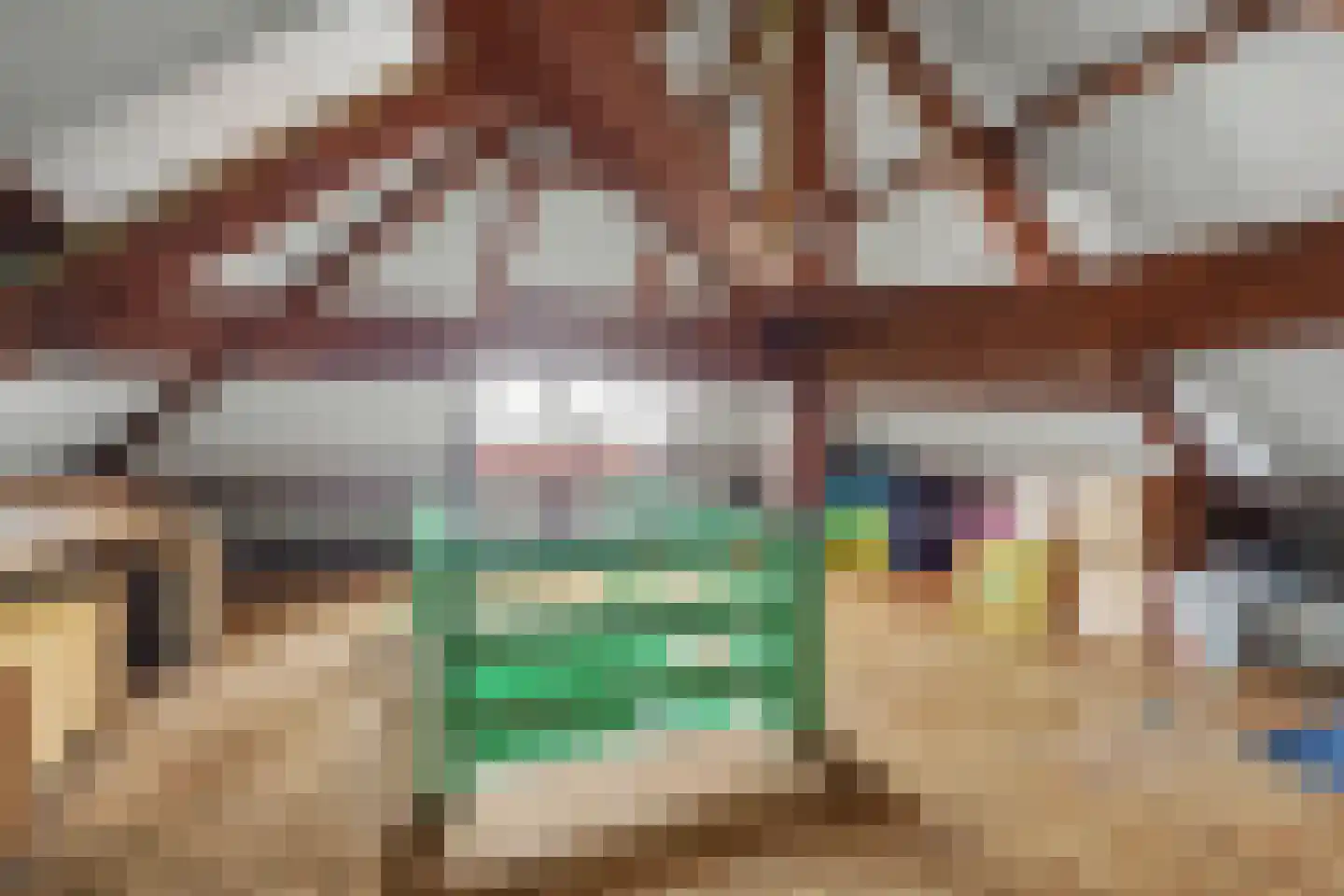 Boompjesstraat 37 Strijen thumbnail 41