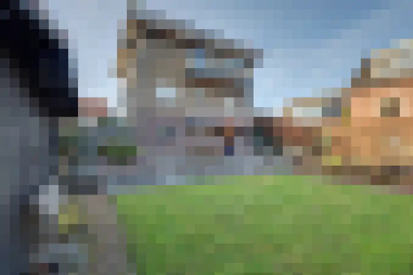 Boompjesstraat 37 Strijen thumbnail 59
