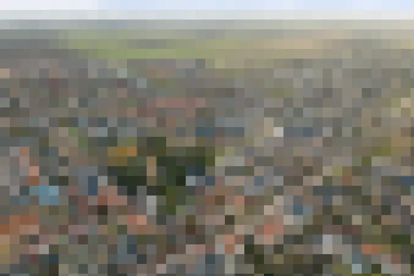 Boompjesstraat 37 Strijen thumbnail 67