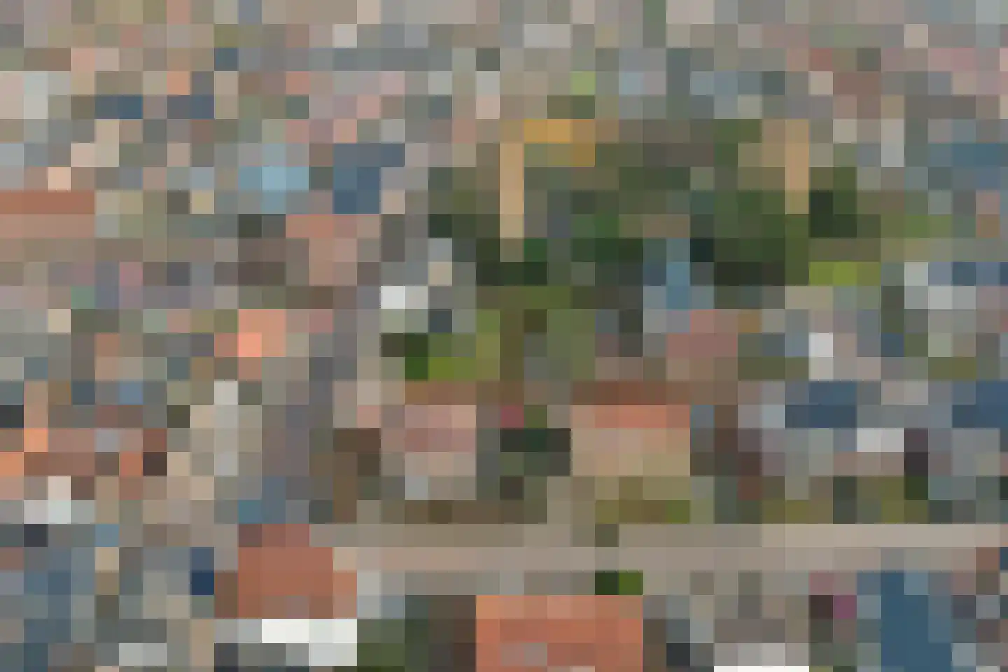 Boompjesstraat 37 Strijen thumbnail 68