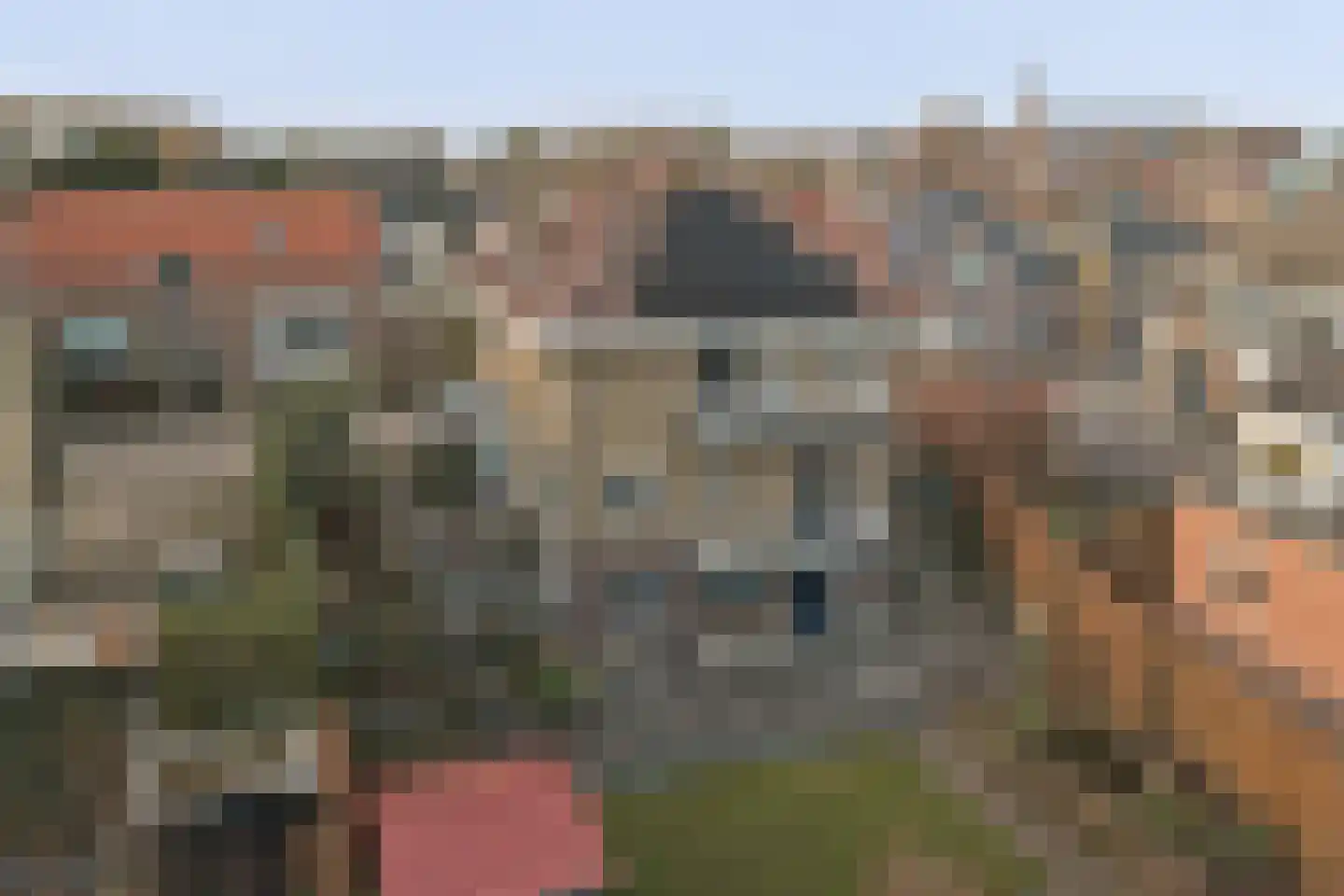 Boompjesstraat 37 Strijen thumbnail 72