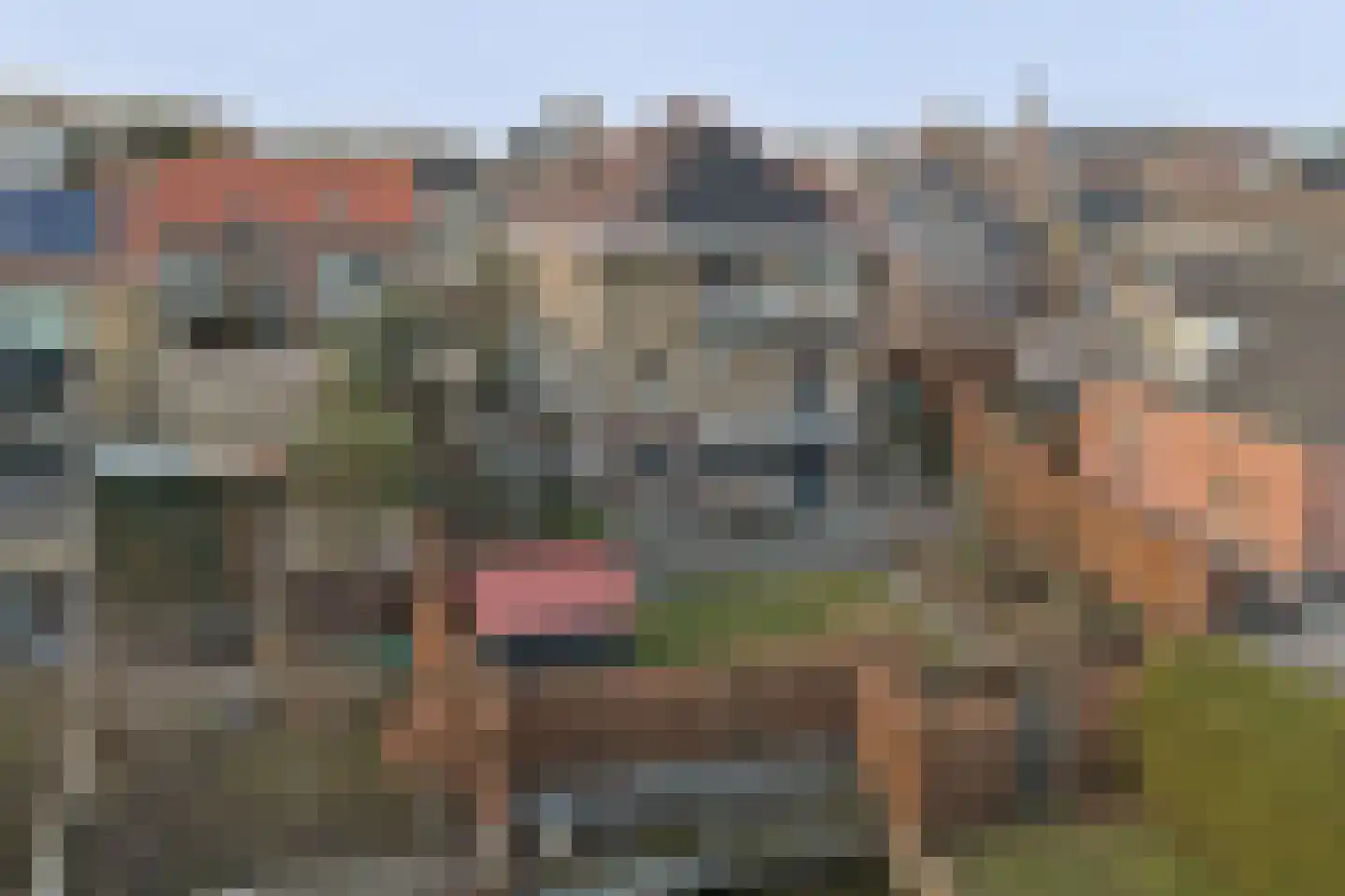 Boompjesstraat 37 Strijen thumbnail 73