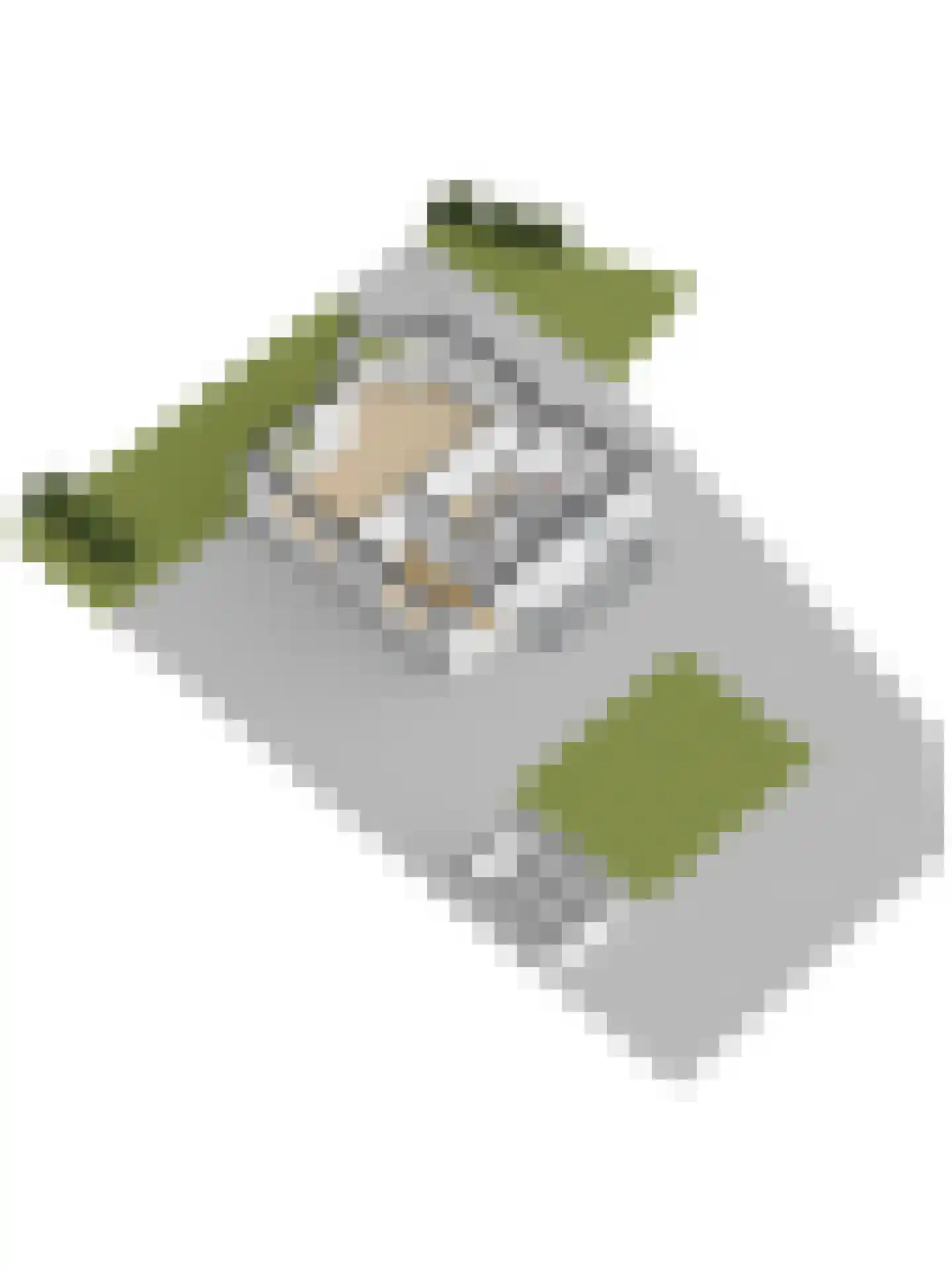 Boompjesstraat 37 Strijen thumbnail 85