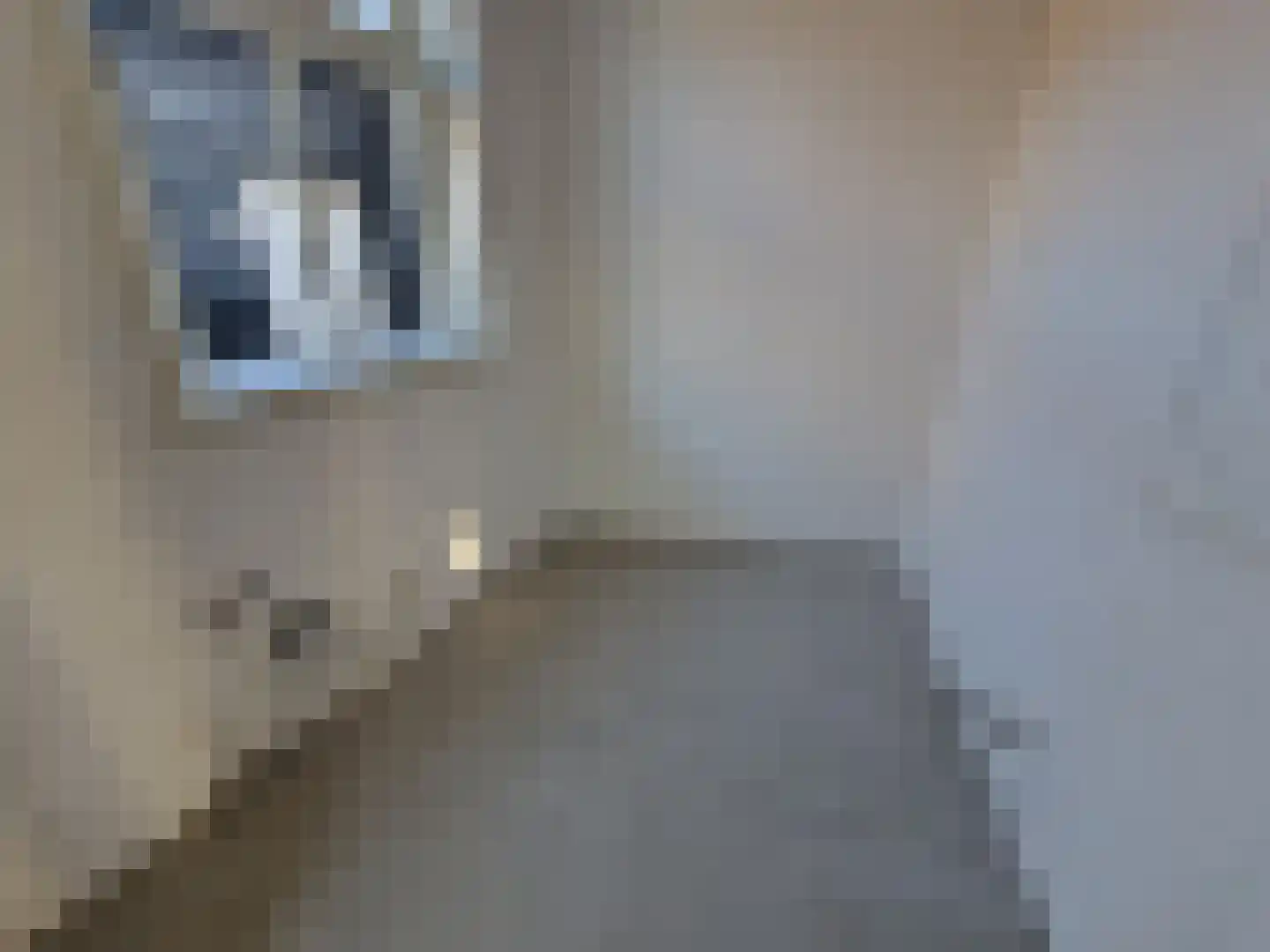 Boompjesstraat 4 Strijen thumbnail 10