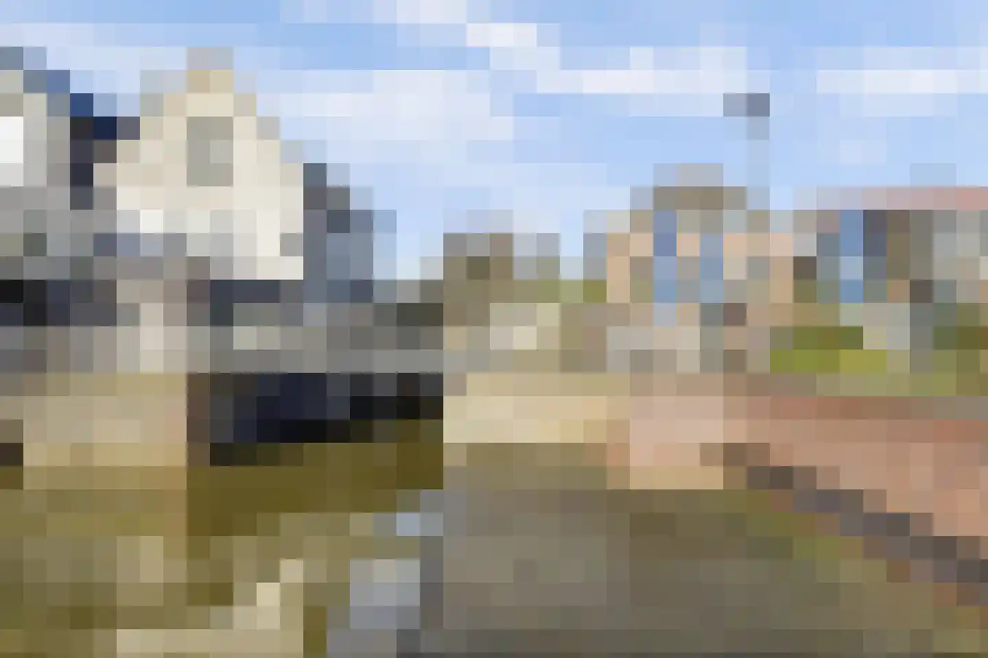 Boompjesstraat 4 Strijen thumbnail 11