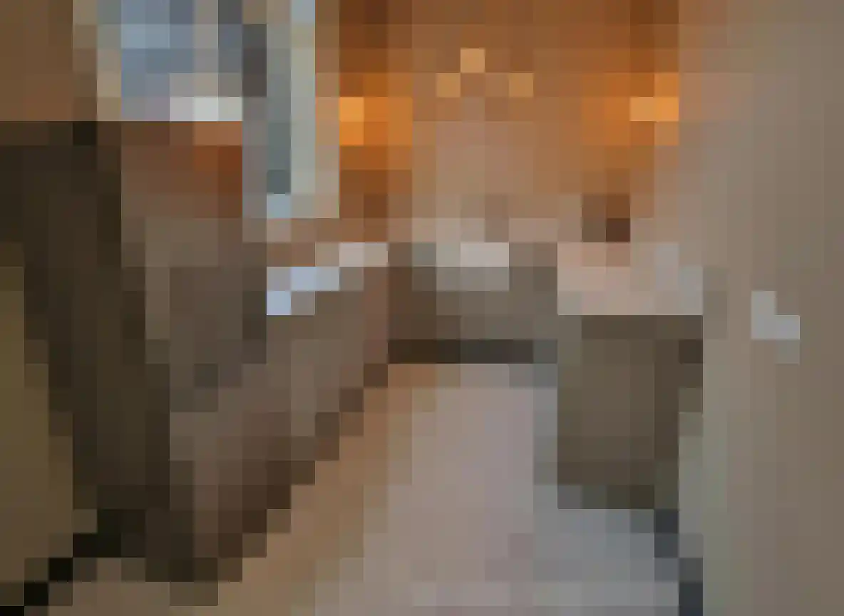 Boompjesstraat 4 Strijen thumbnail 14