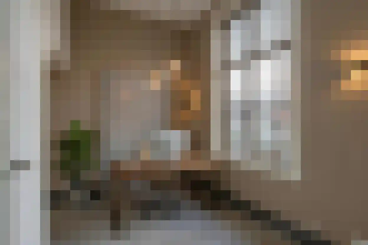 Boompjesstraat 4 Strijen thumbnail 16