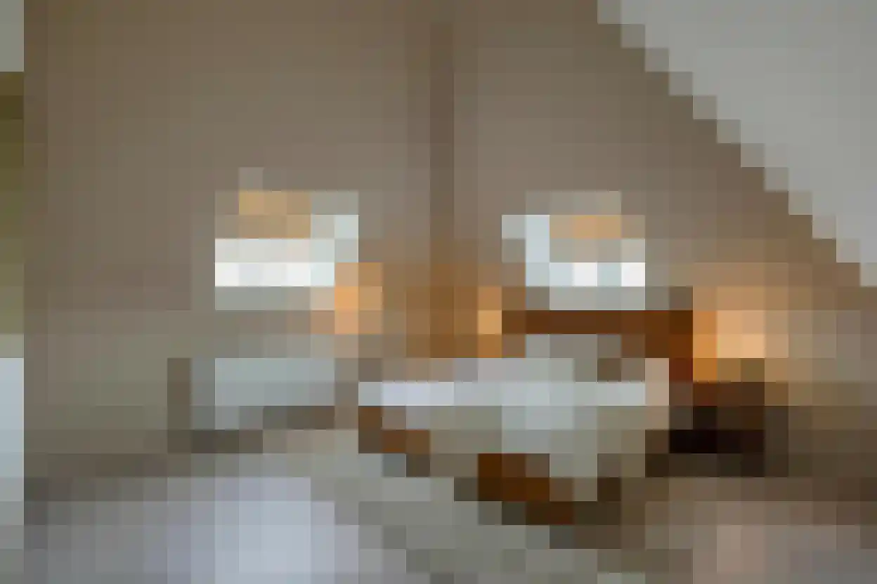 Boompjesstraat 4 Strijen thumbnail 20