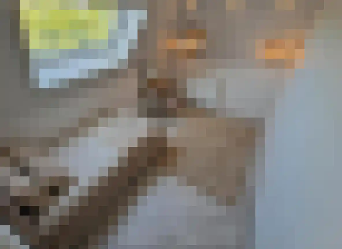 Boompjesstraat 4 Strijen thumbnail 22