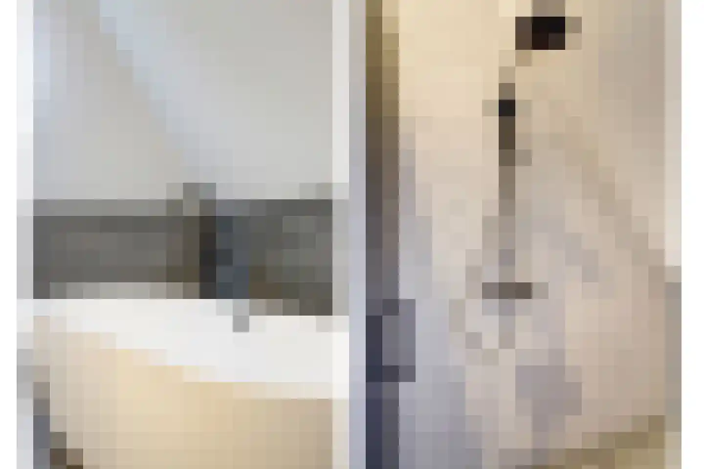 Boompjesstraat 4 Strijen thumbnail 27