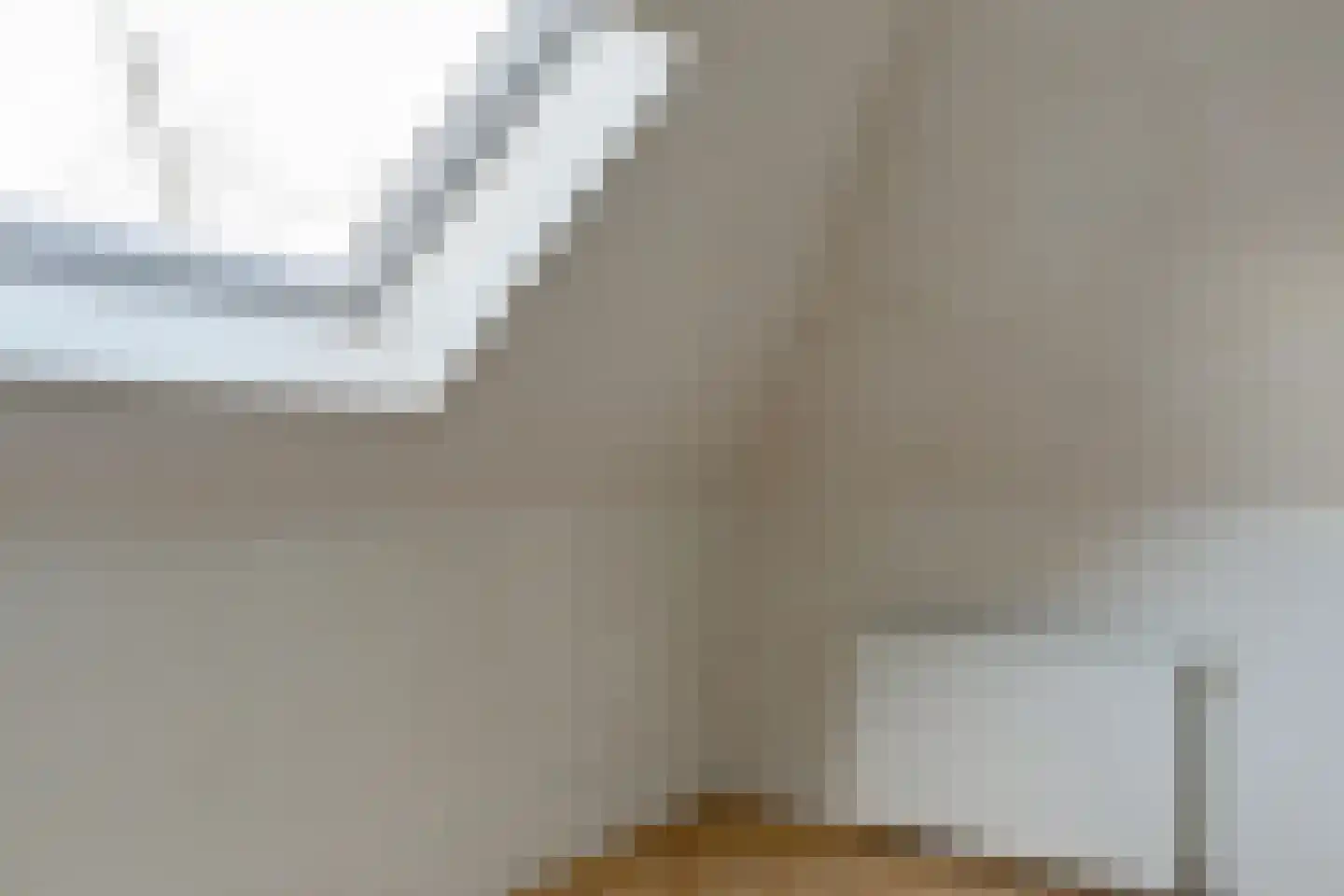 Boompjesstraat 4 Strijen thumbnail 32