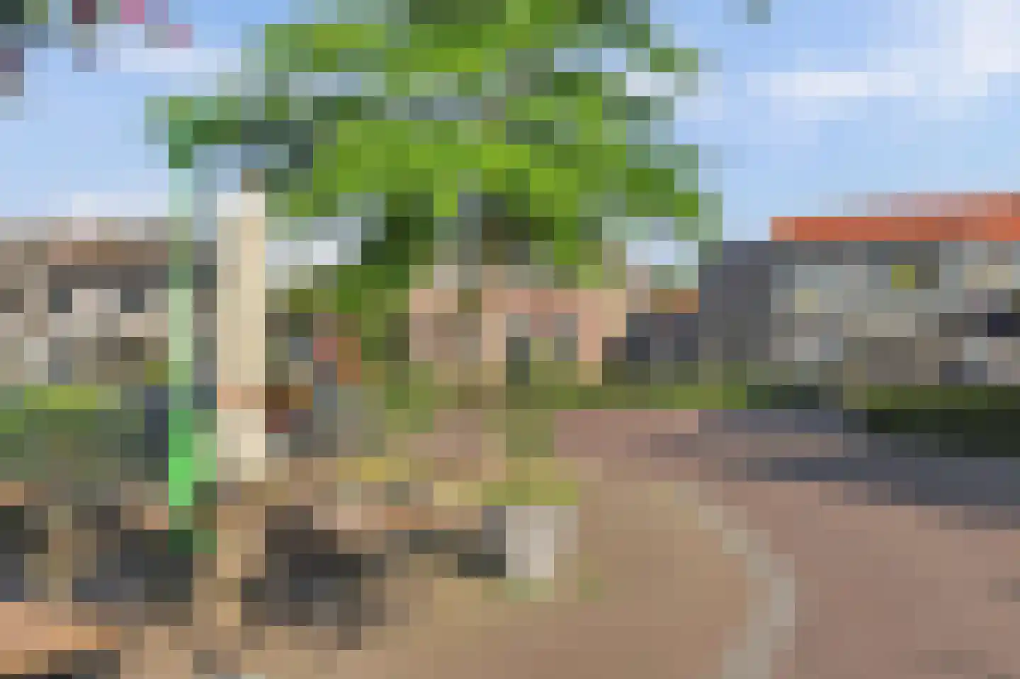 Boompjesstraat 4 Strijen thumbnail 33