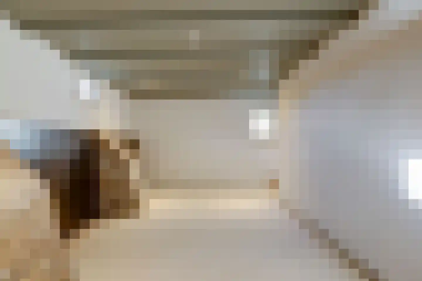 Boompjesstraat 4 Strijen thumbnail 34