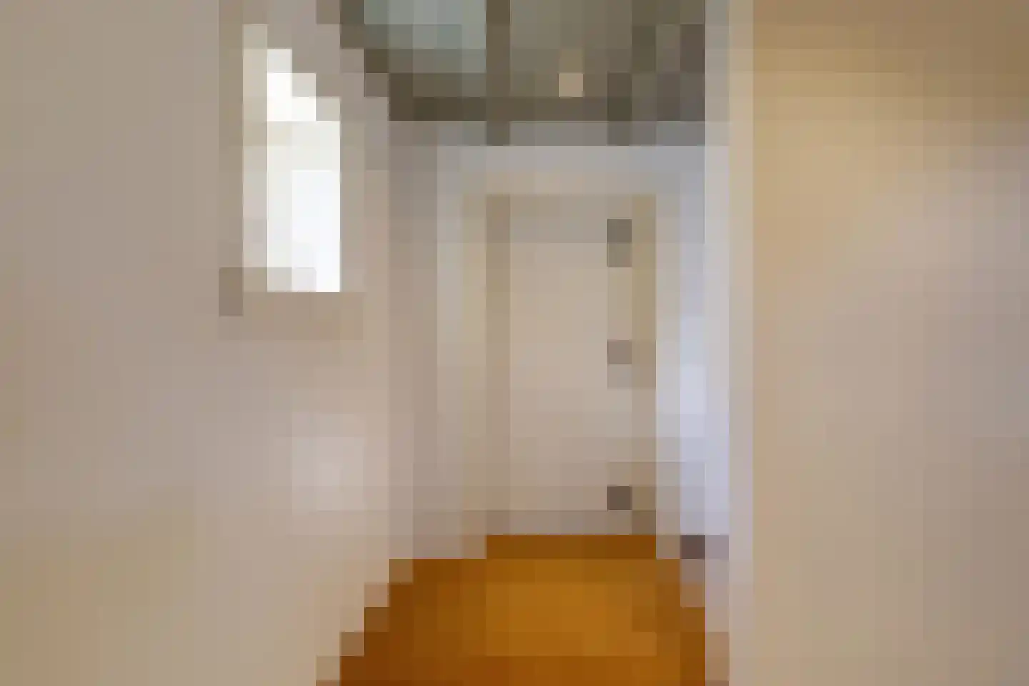 Boompjesstraat 4 Strijen thumbnail 35