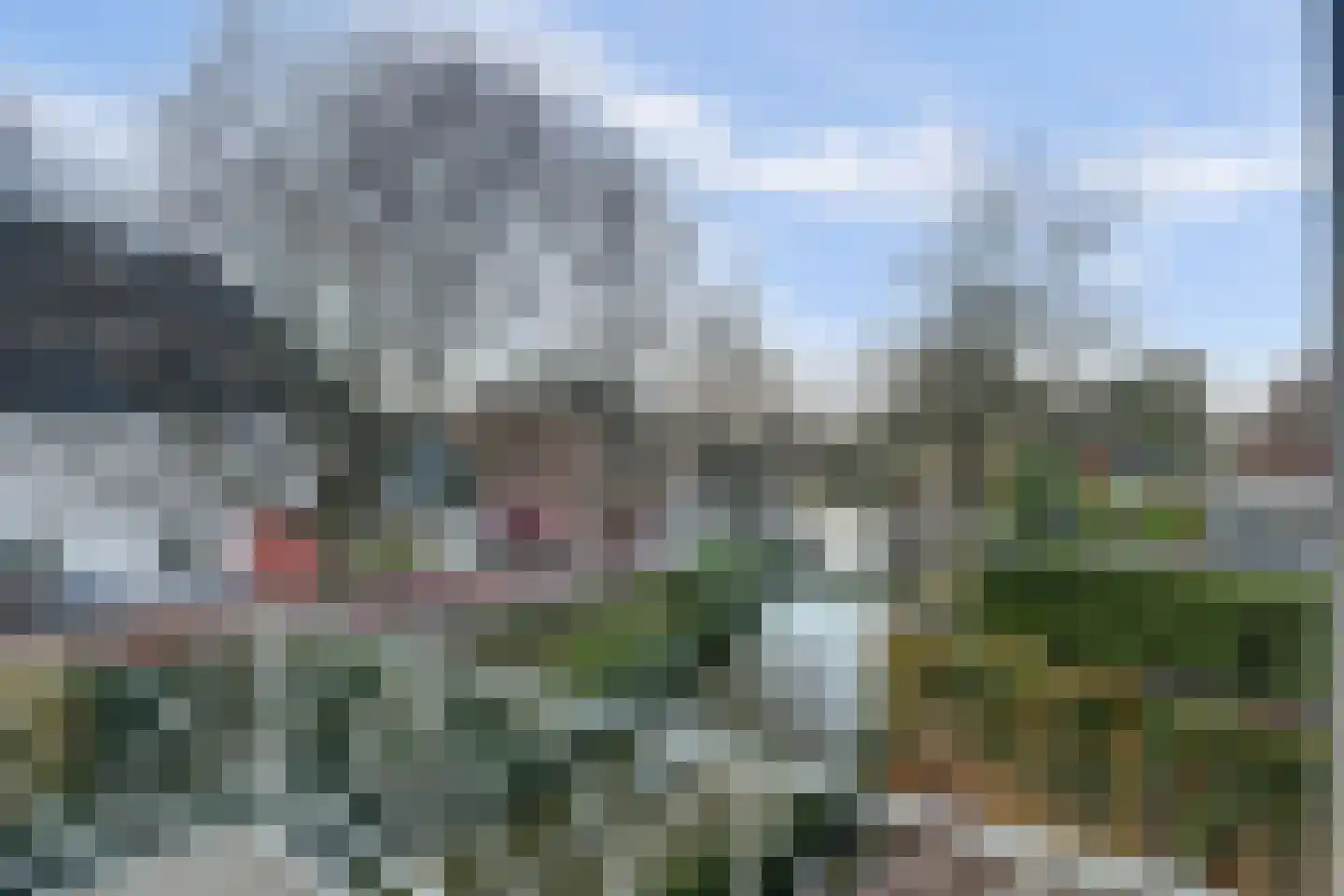 Boompjesstraat 4 Strijen thumbnail 37