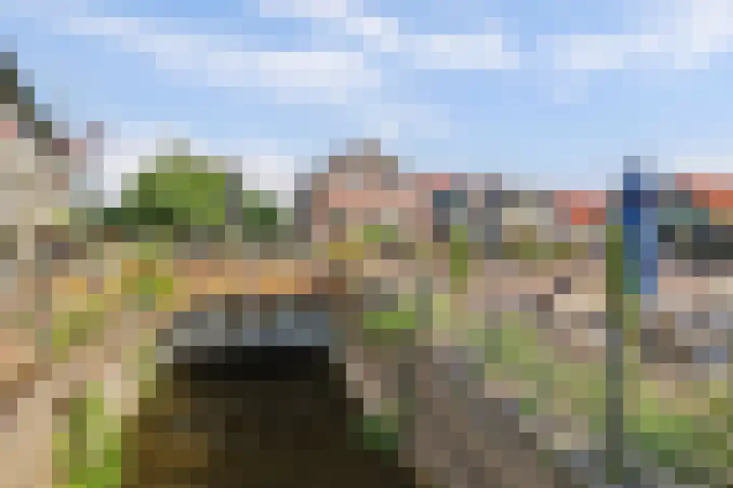 Boompjesstraat 4 Strijen thumbnail 4