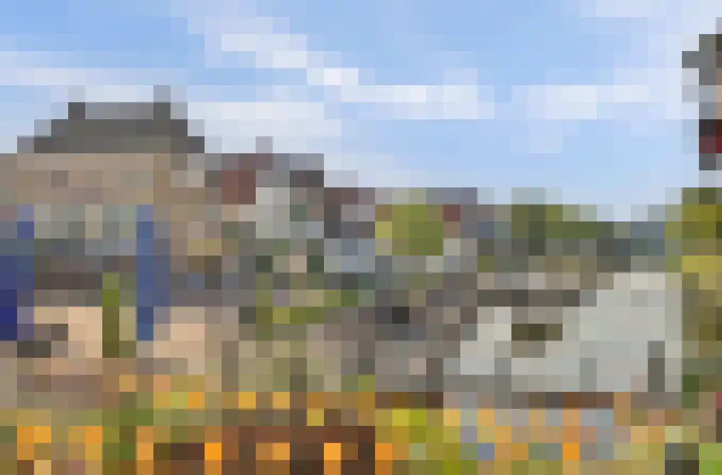 Boompjesstraat 4 Strijen thumbnail 40