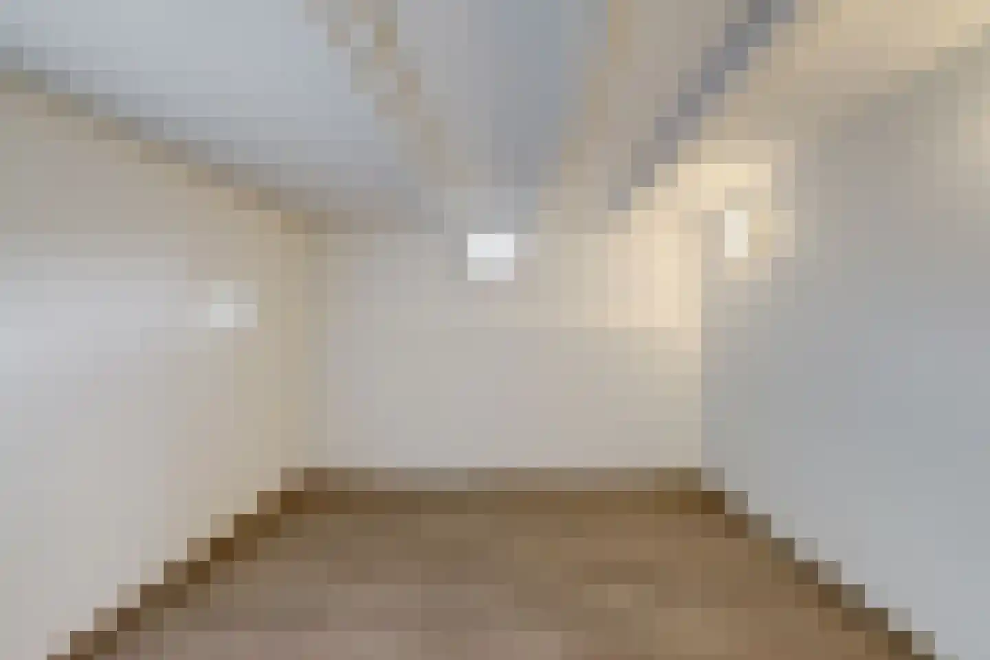 Boompjesstraat 4 Strijen thumbnail 41