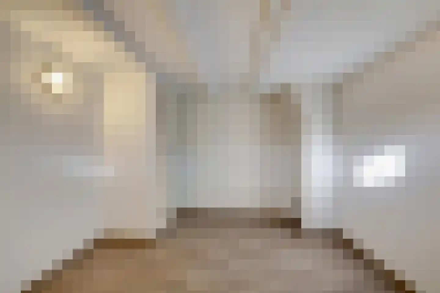 Boompjesstraat 4 Strijen thumbnail 42
