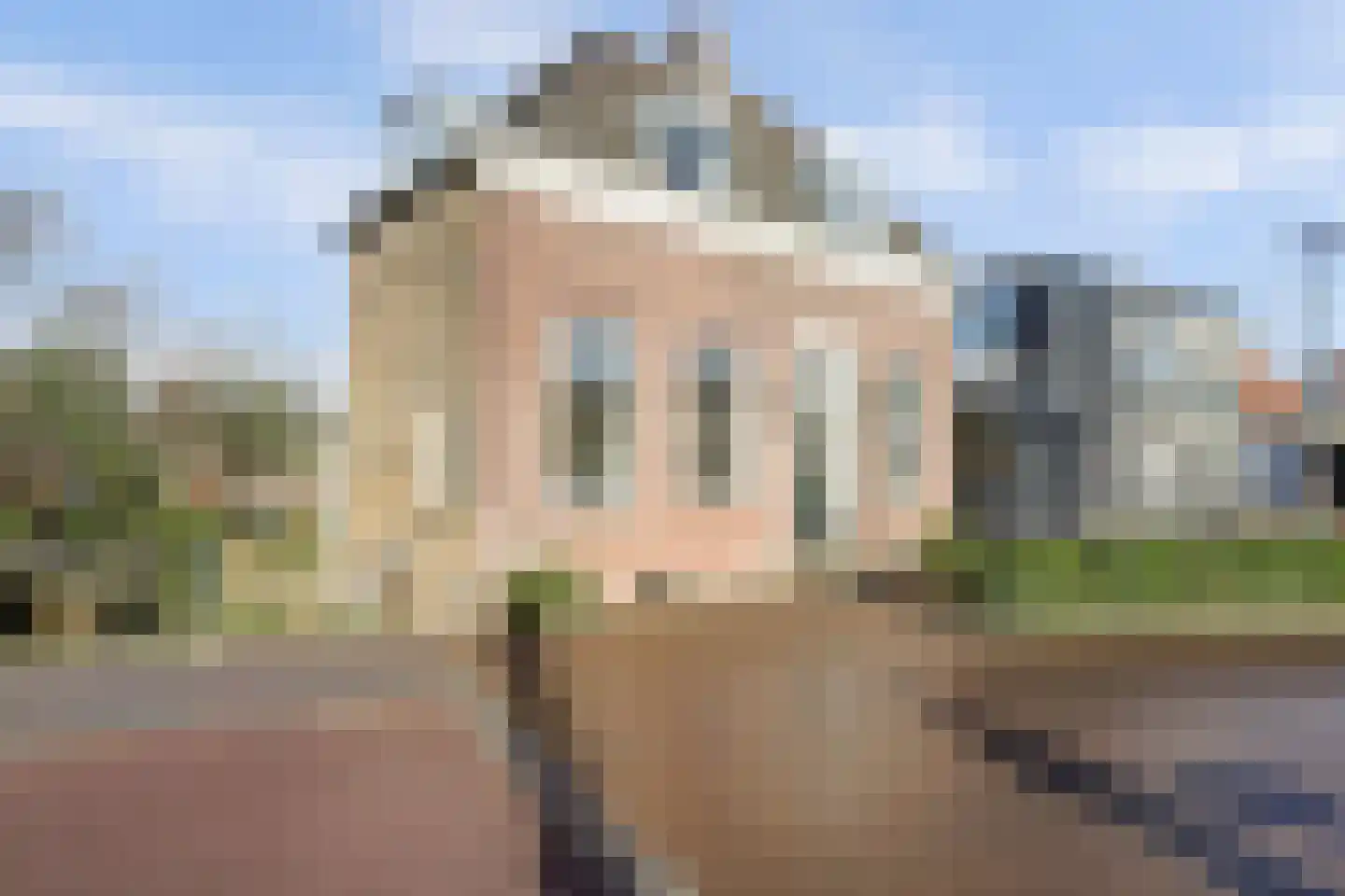 Boompjesstraat 4 Strijen thumbnail 43
