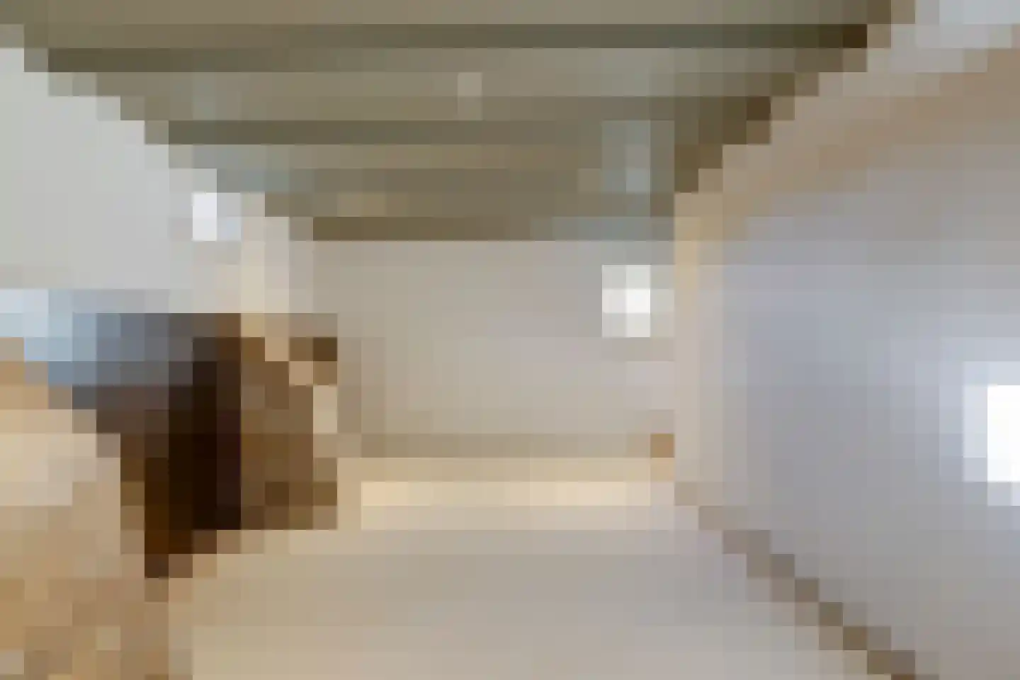 Boompjesstraat 4 Strijen thumbnail 45