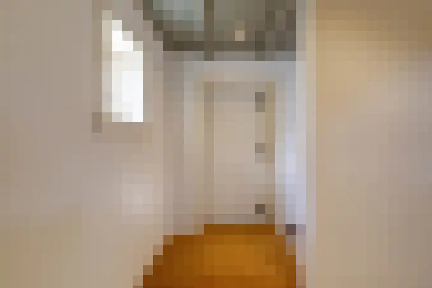 Boompjesstraat 4 Strijen thumbnail 46