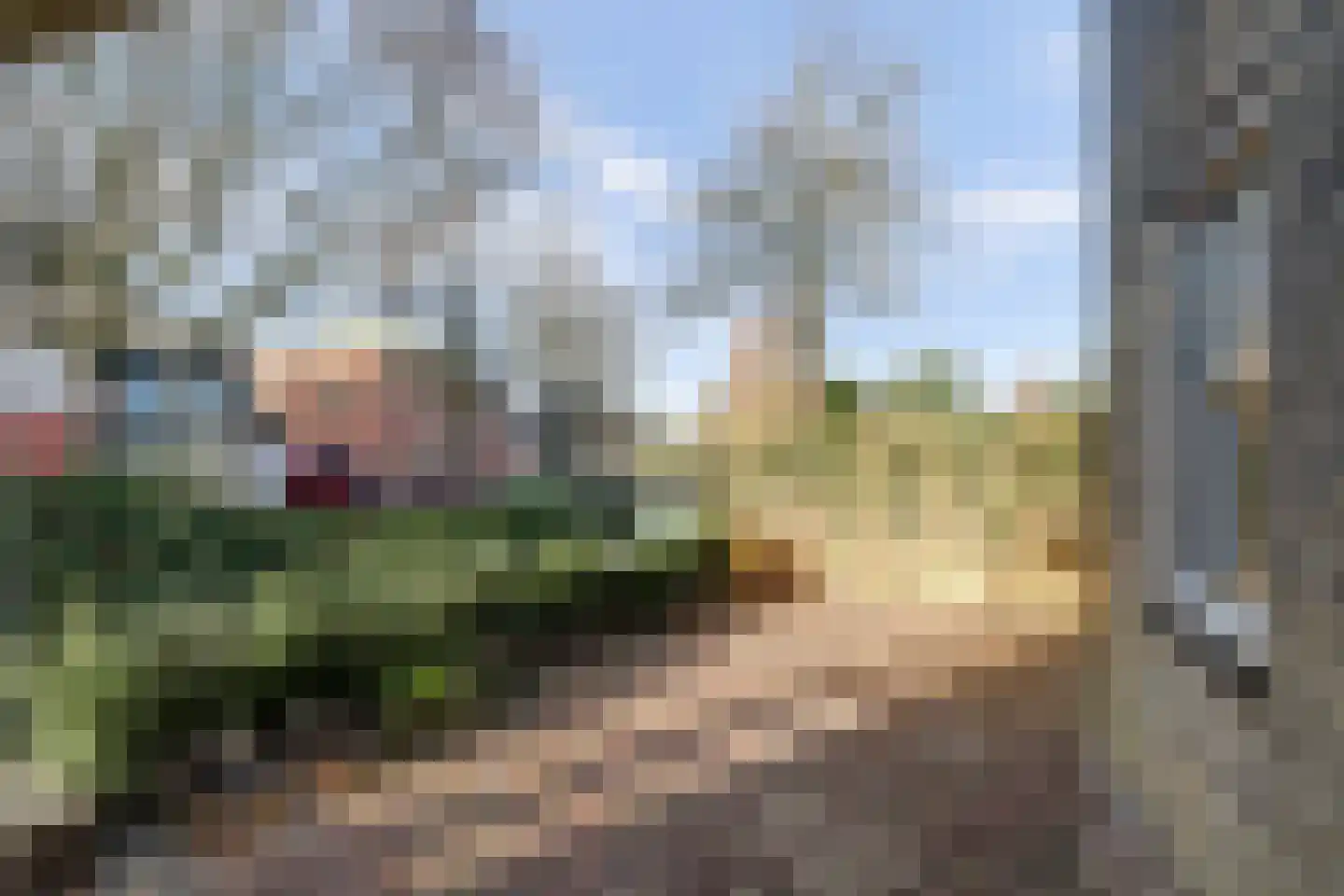Boompjesstraat 4 Strijen thumbnail 48
