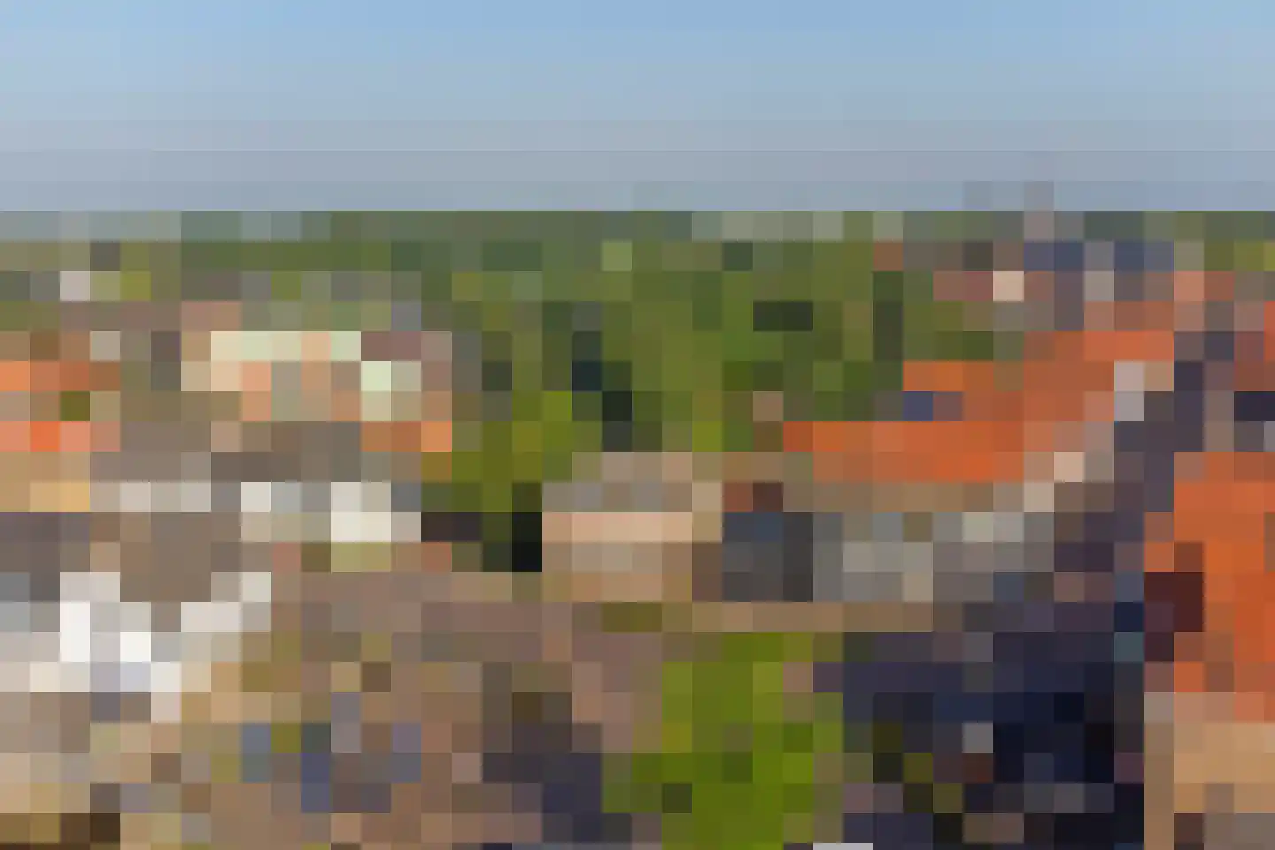 Boompjesstraat 4 Strijen thumbnail 5