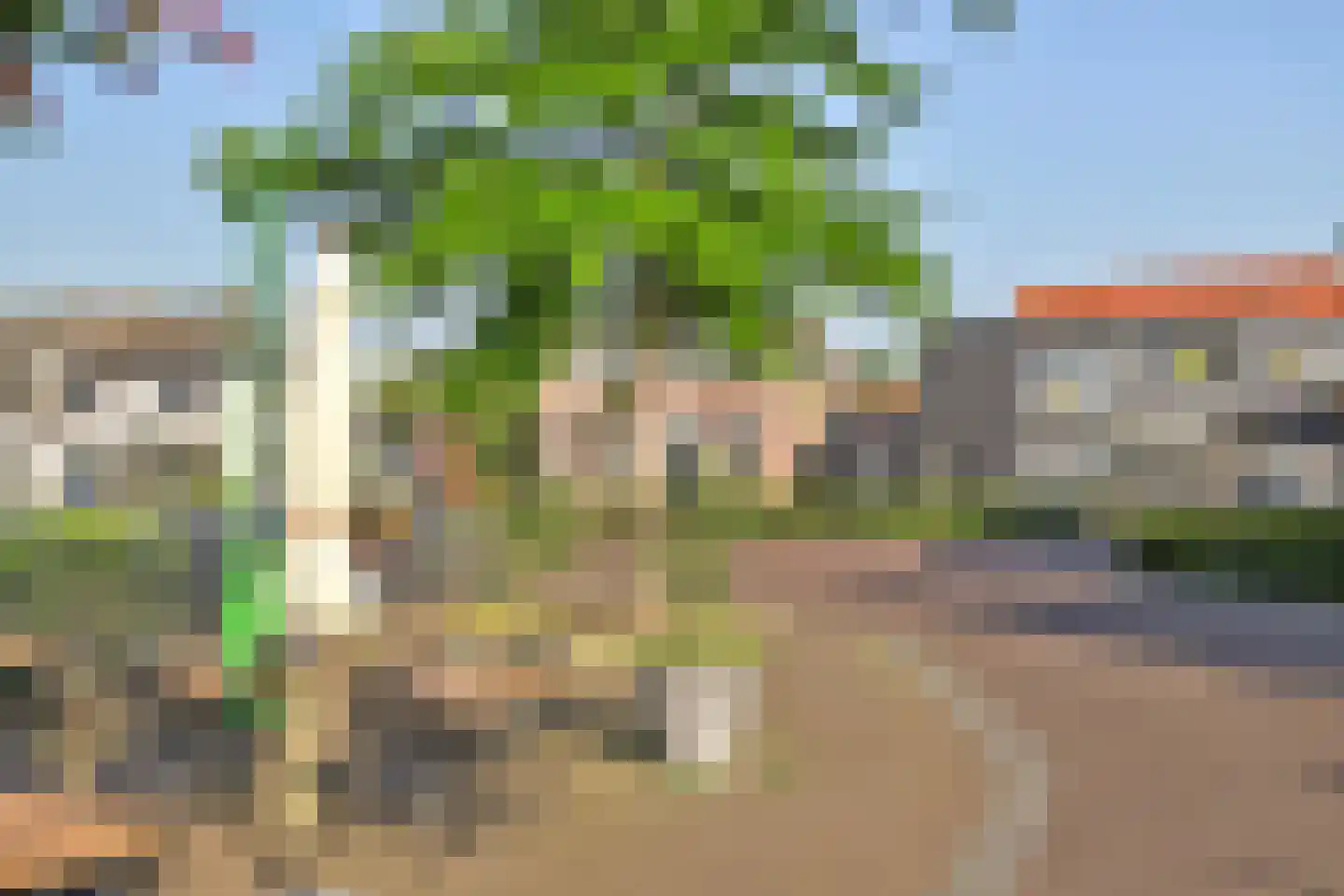 Boompjesstraat 4 Strijen thumbnail 50