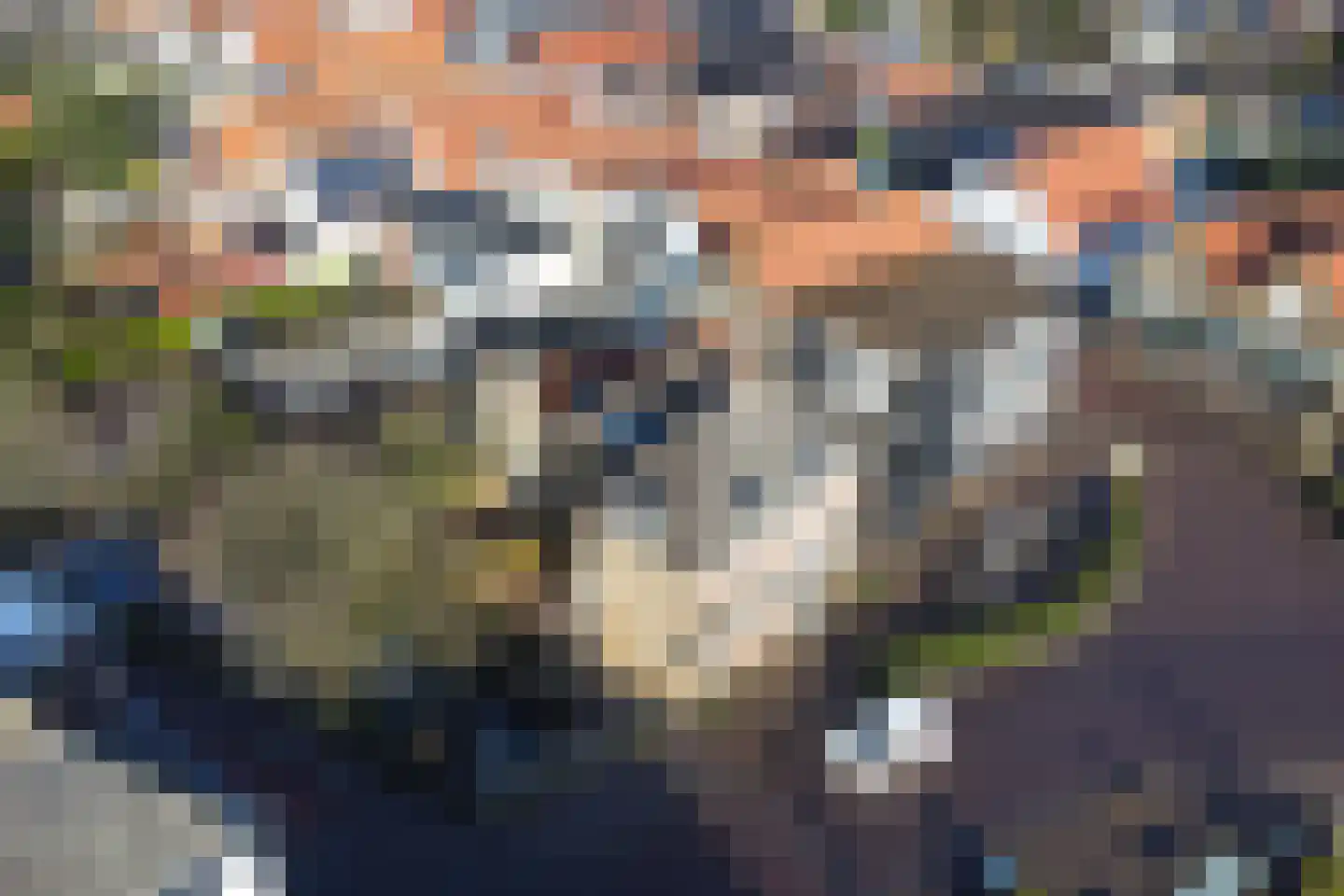 Boompjesstraat 4 Strijen thumbnail 51