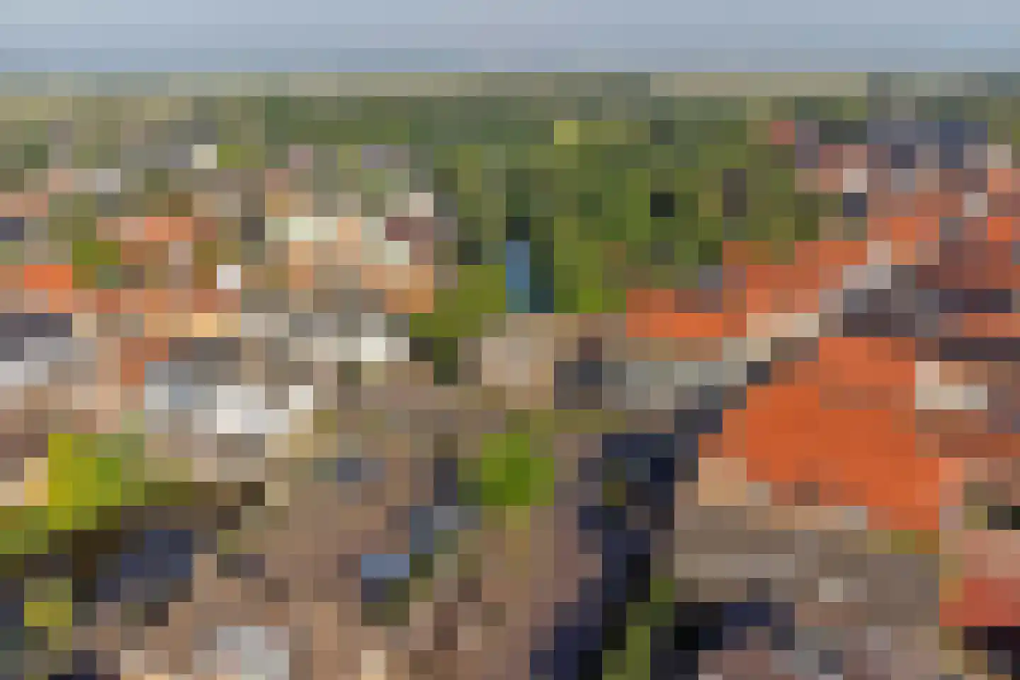 Boompjesstraat 4 Strijen thumbnail 51