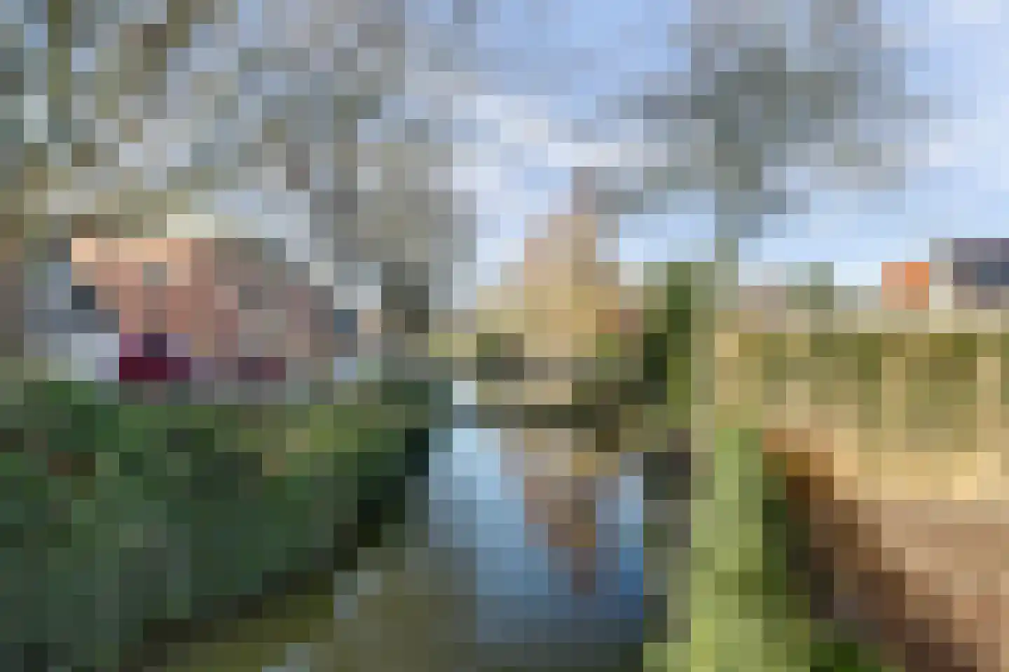 Boompjesstraat 4 Strijen thumbnail 52