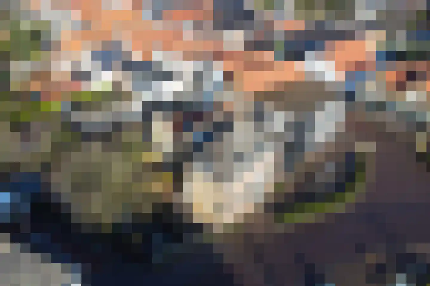 Boompjesstraat 4 Strijen thumbnail 52