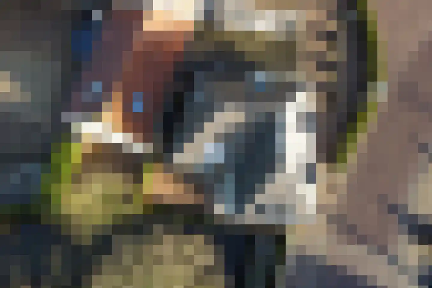 Boompjesstraat 4 Strijen thumbnail 53