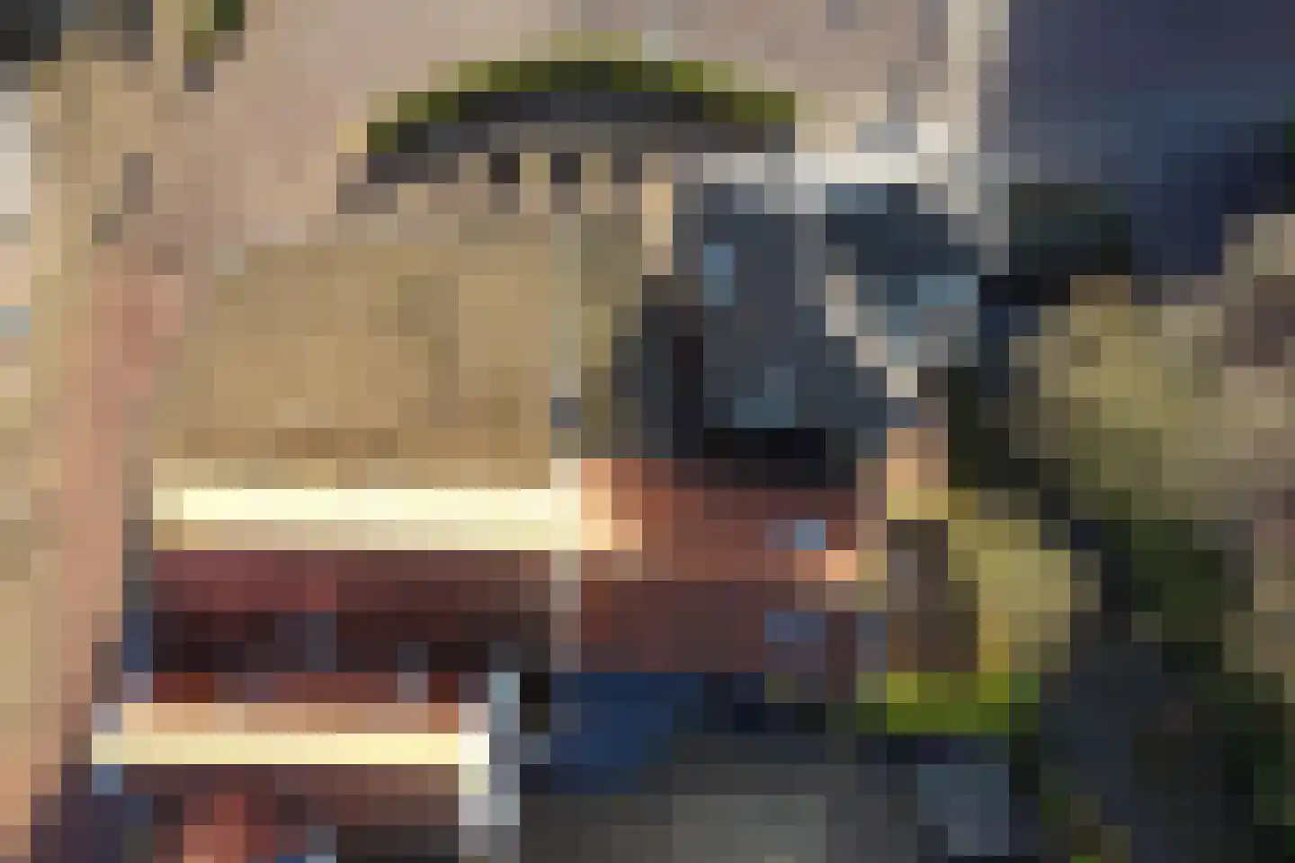 Boompjesstraat 4 Strijen thumbnail 54