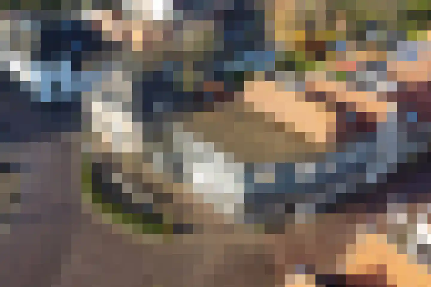 Boompjesstraat 4 Strijen thumbnail 56