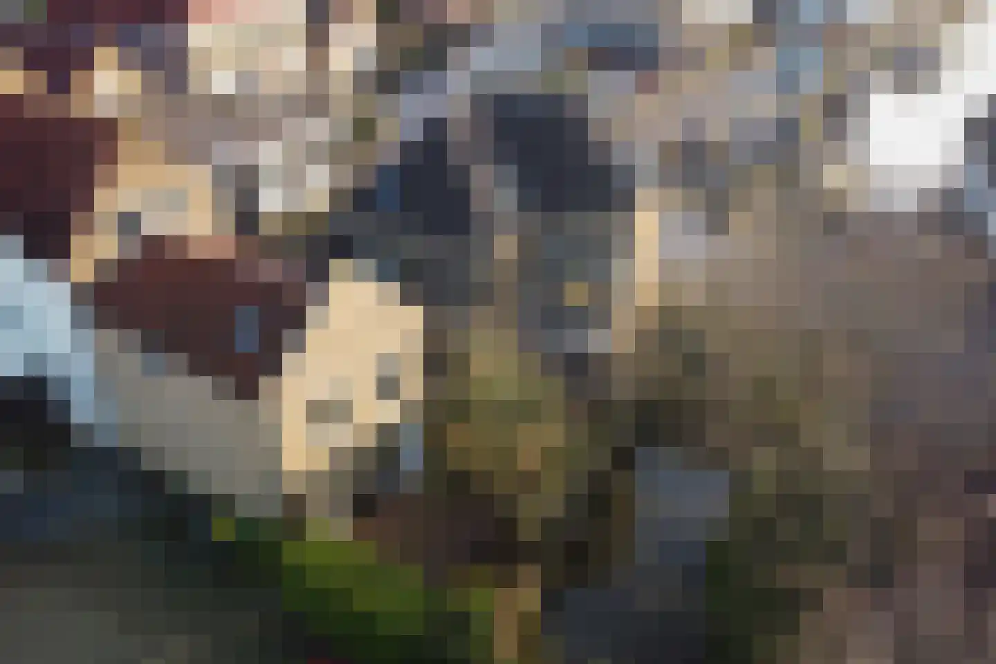 Boompjesstraat 4 Strijen thumbnail 56