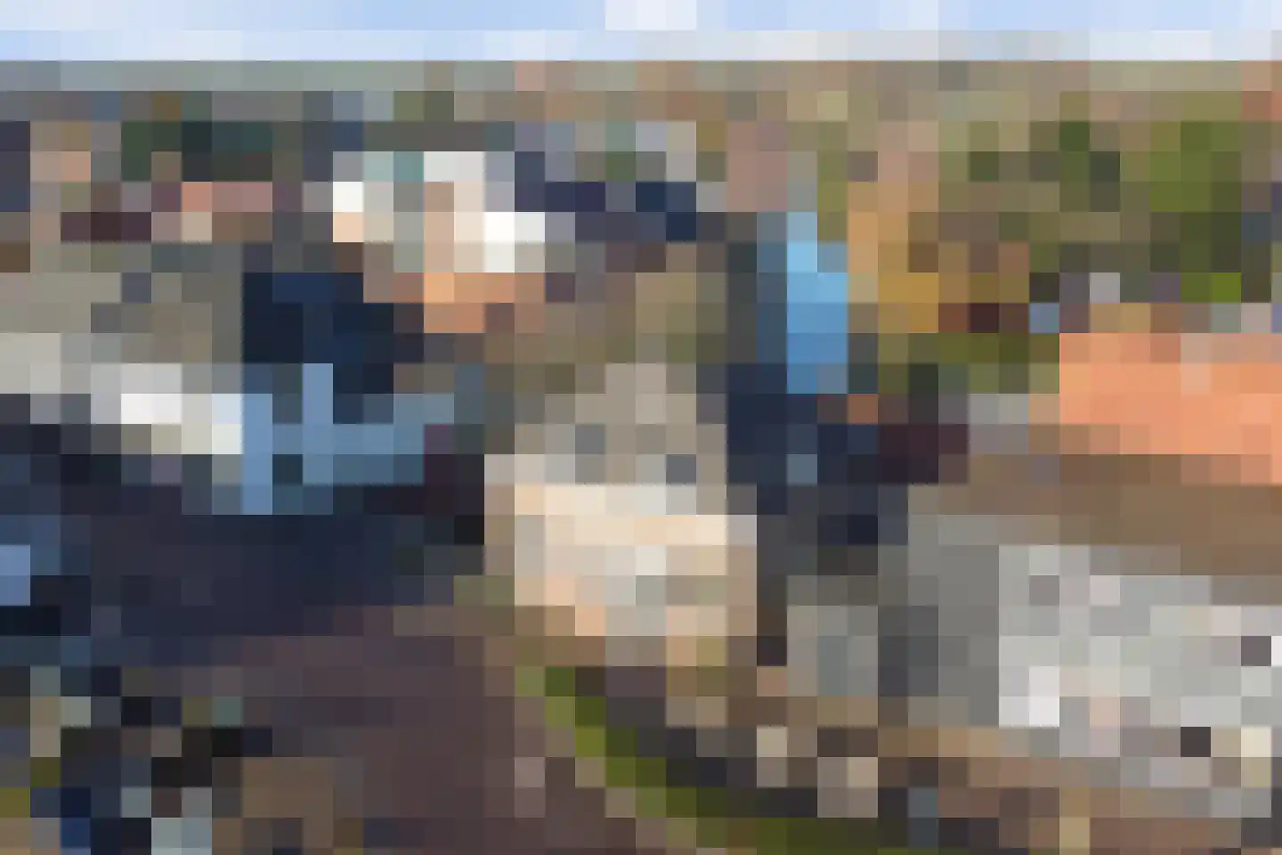 Boompjesstraat 4 Strijen thumbnail 57