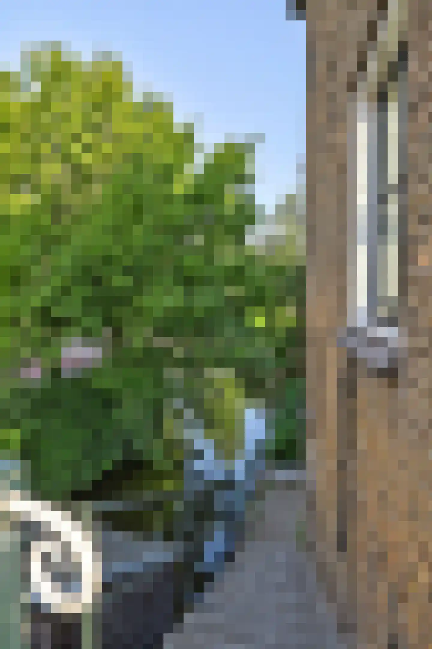 Boompjesstraat 4 Strijen thumbnail 58