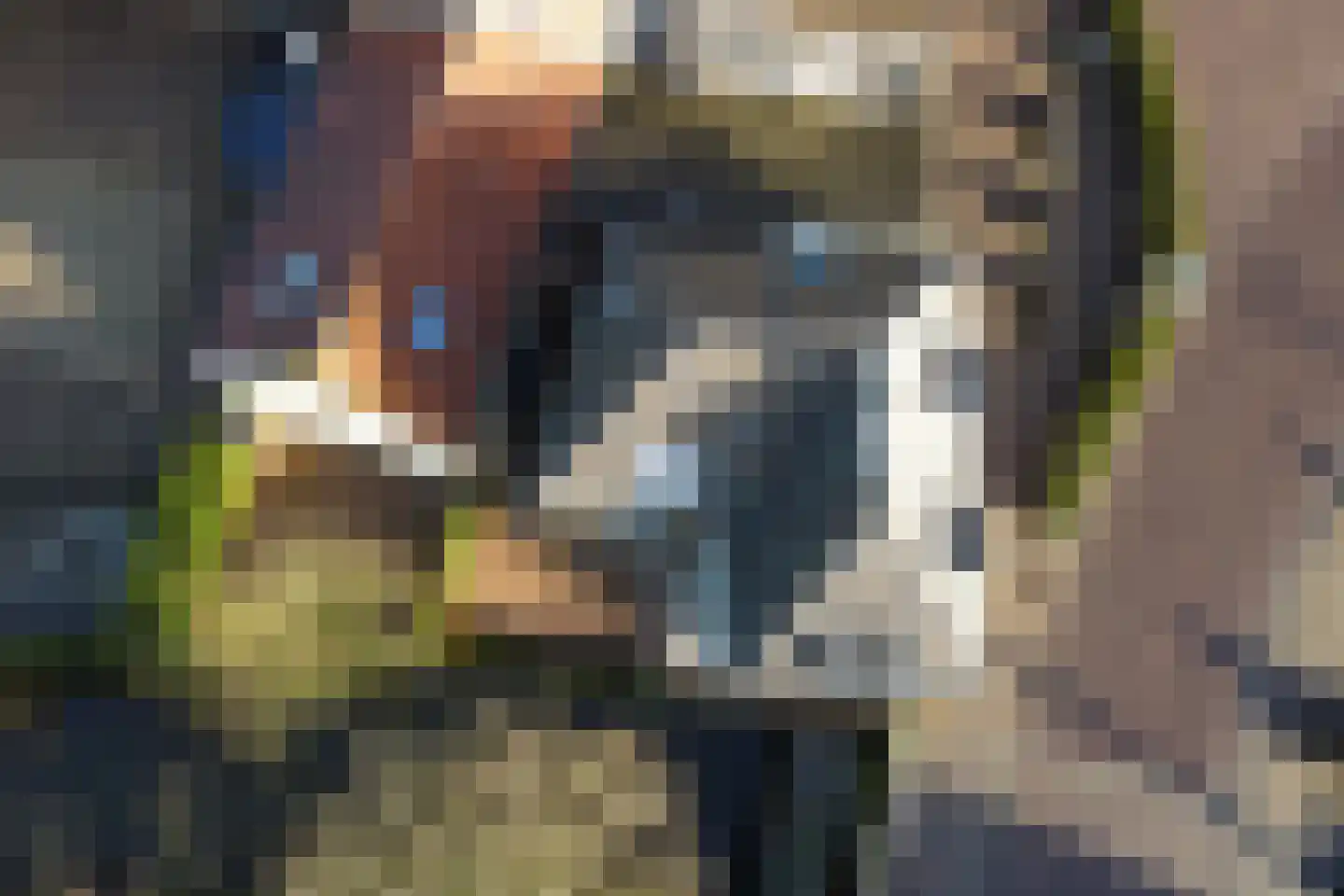 Boompjesstraat 4 Strijen thumbnail 60