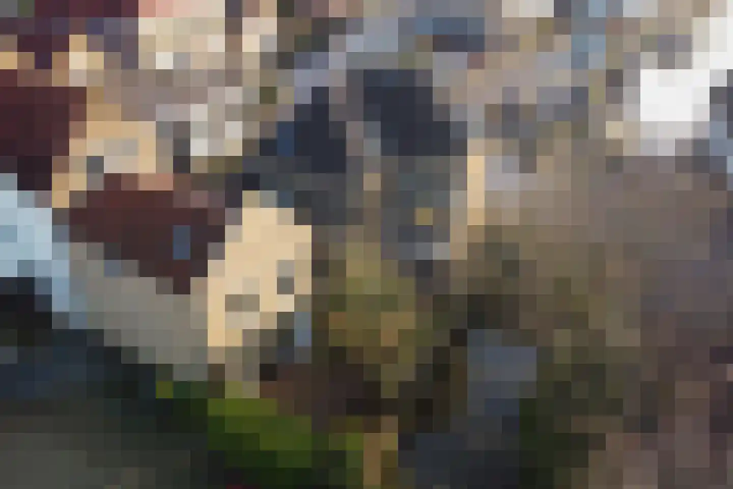 Boompjesstraat 4 Strijen thumbnail 63
