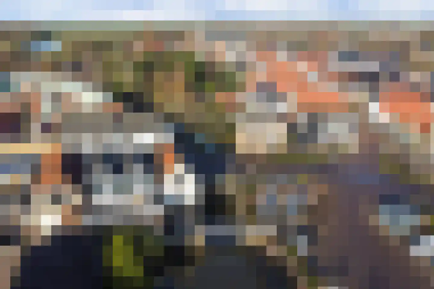 Boompjesstraat 4 Strijen thumbnail 64