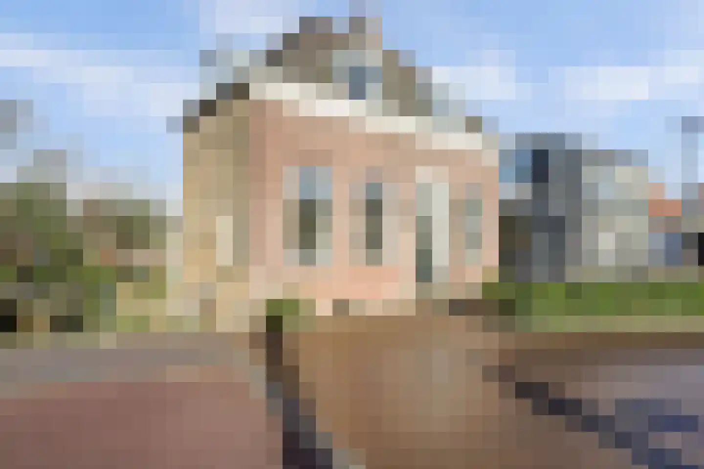 Boompjesstraat 4 Strijen thumbnail 7