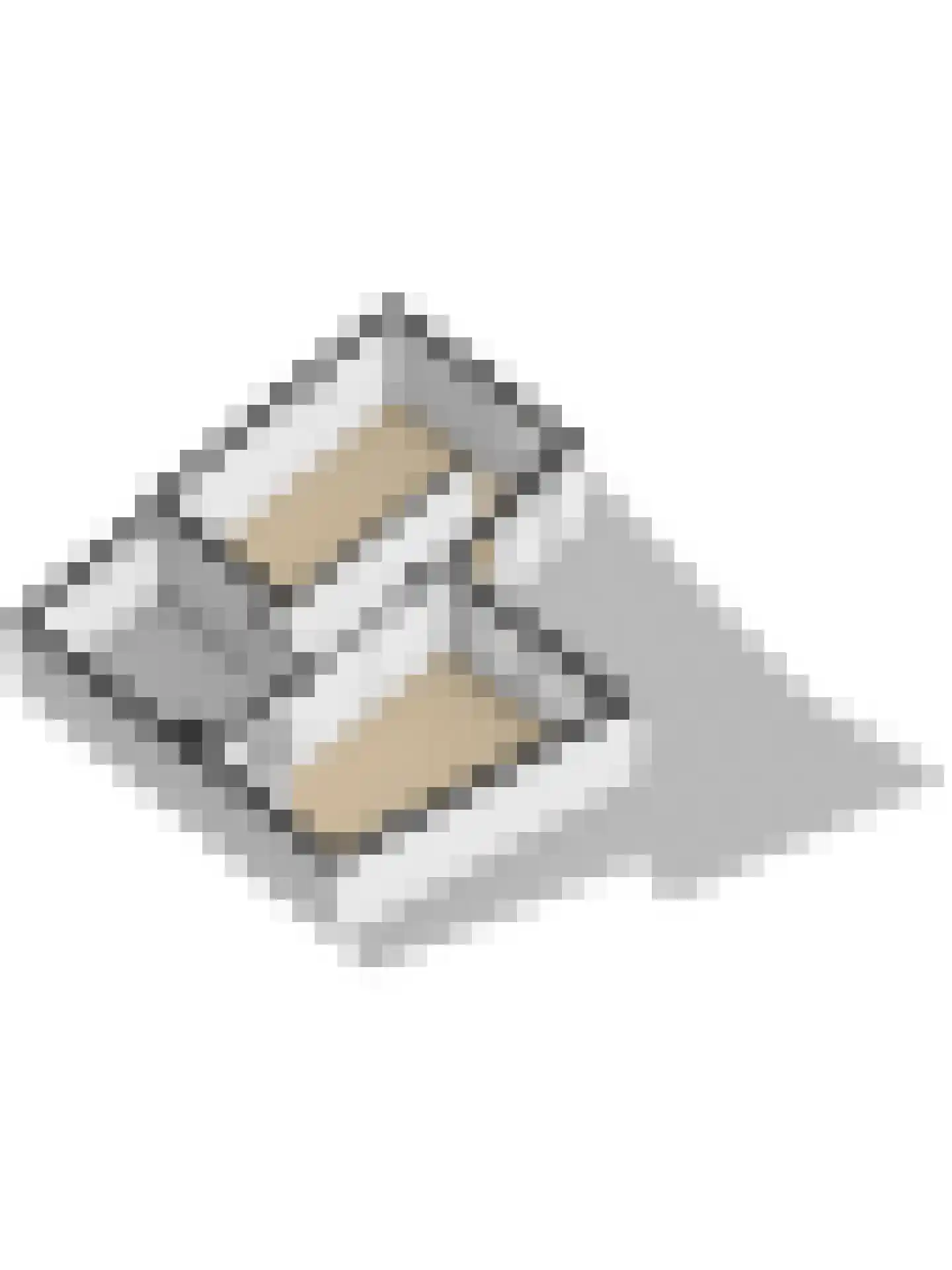 Boompjesstraat 4 Strijen thumbnail 71