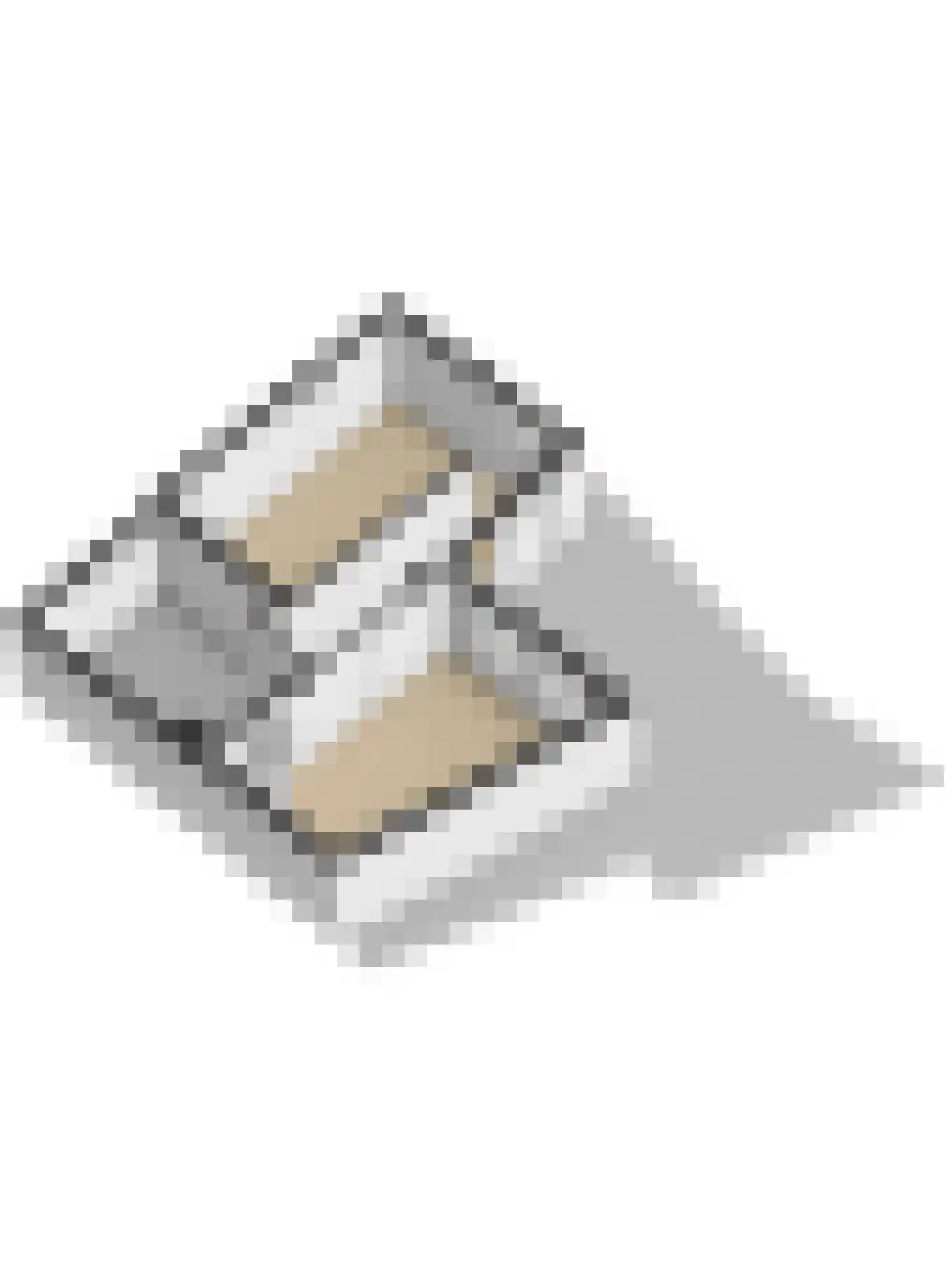 Boompjesstraat 4 Strijen thumbnail 79