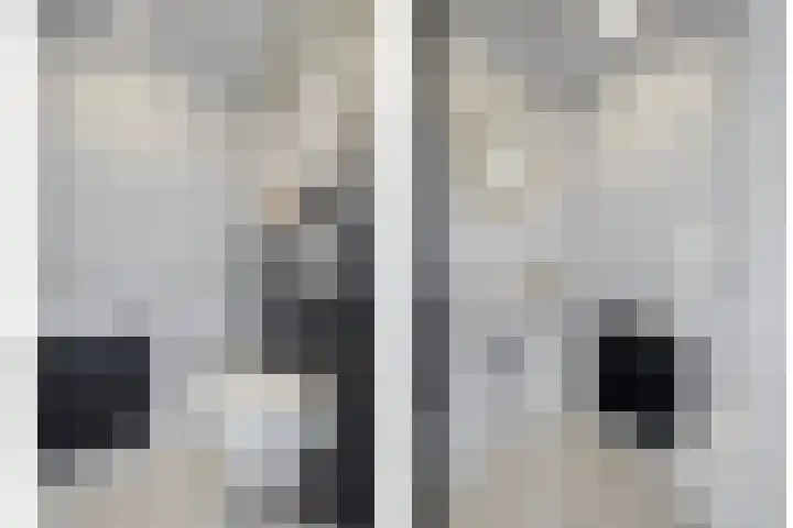Boompjesven 115 Heemskerk thumbnail 12