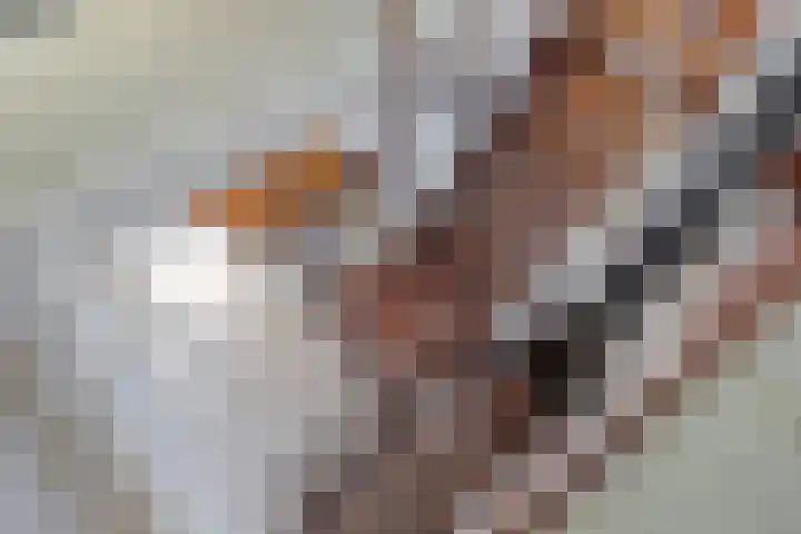 Boompjesven 115 Heemskerk thumbnail 13
