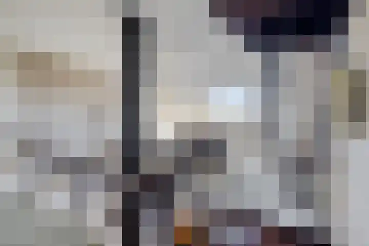 Boompjesven 115 Heemskerk thumbnail 14