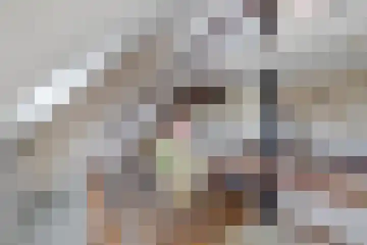 Boompjesven 115 Heemskerk thumbnail 16