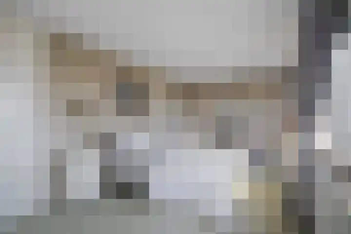 Boompjesven 115 Heemskerk thumbnail 18